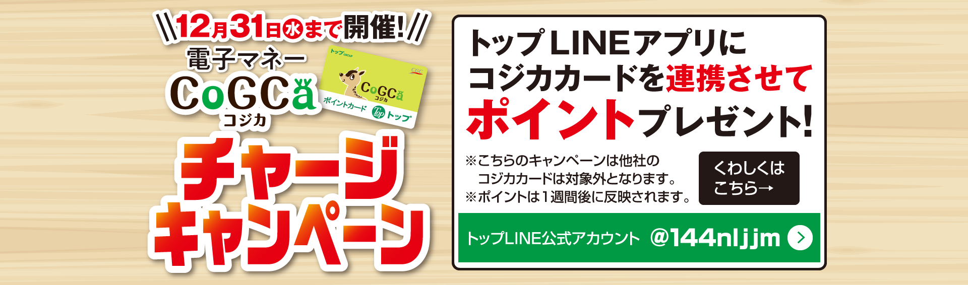 コジカチャージキャンペーン